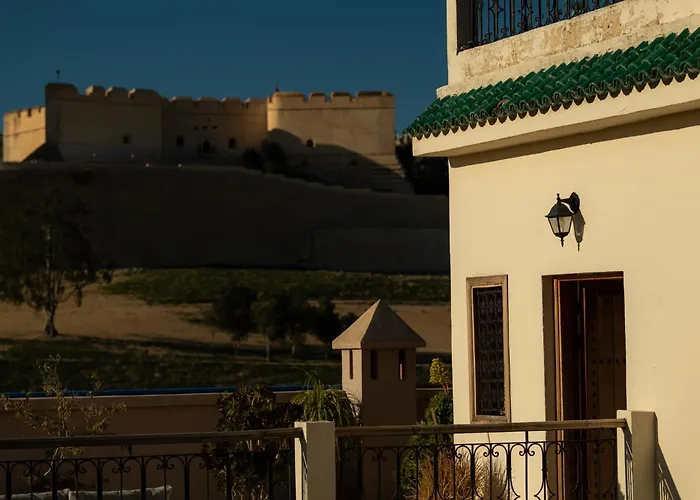 Riad Al Ansari